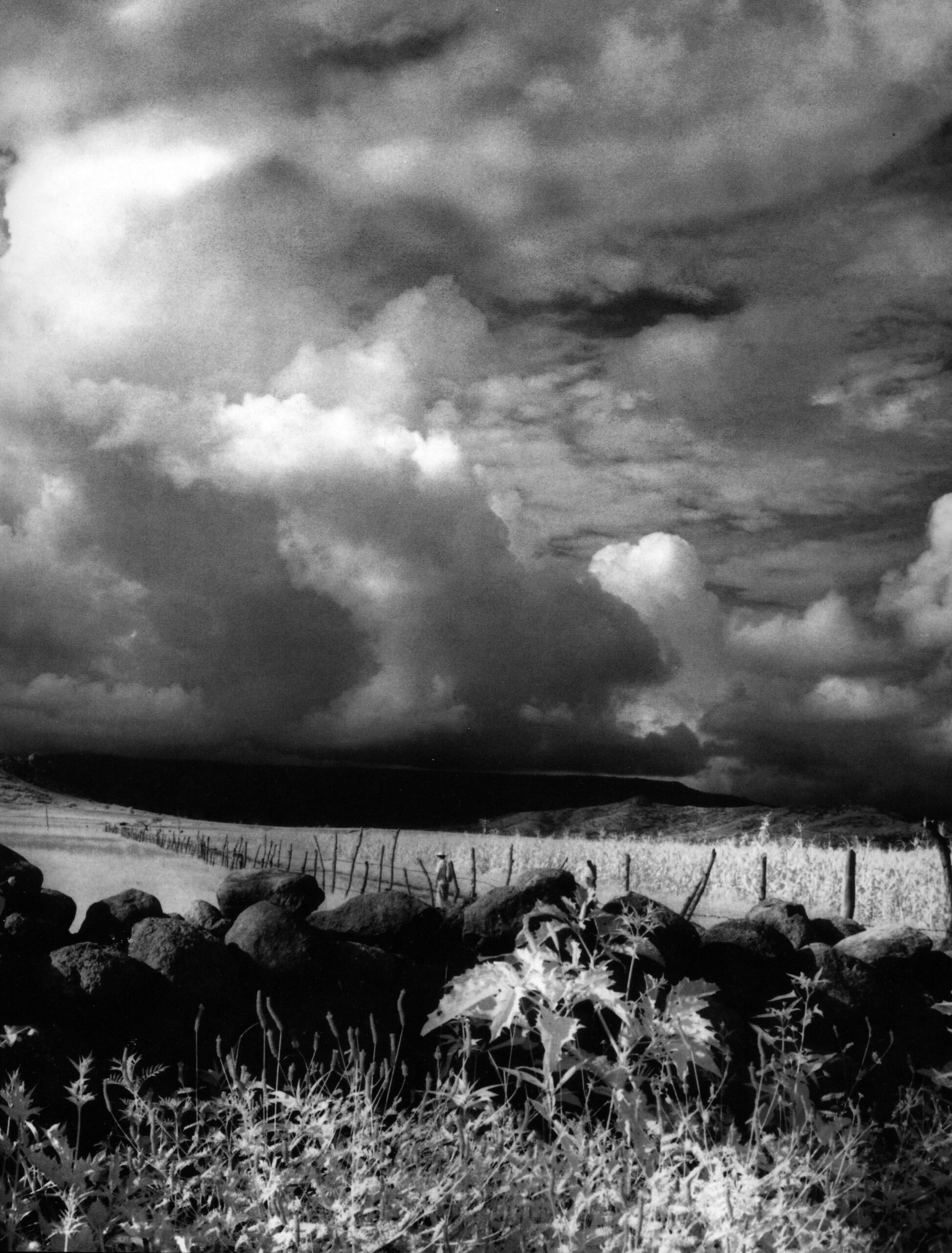 Caminante 2 Zongolica, Estado de Veracruz