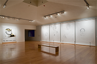 museo-marco-dic09