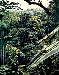 museo-marco-maria sada-vista edward james