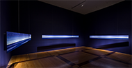 museo-marco-reg