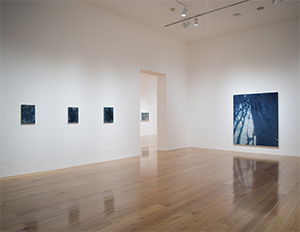 museo-marco-galeria-exposicion-YishaiJusidman-5