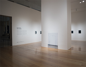 museo-marco-galeria-exposicion-YishaiJusidman-6