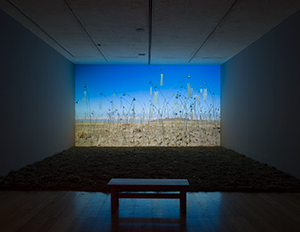 museo-marco-galeria-exposicion-Boltanski-5