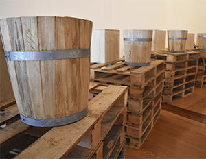 museo-marco-galeria-exposicion-Hectorzamora-1