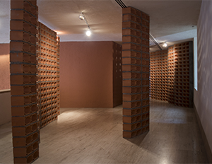 museo-marco-galeria-exposicion-Hectorzamora-3