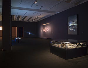 museo-marco-galeria-exposicion-Lightopia-7