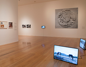 museo-marco-galeria-exposicion-Tercerunquinto_1