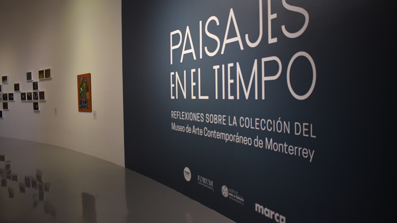 Coleccion-en-Guanajuato-Noticias