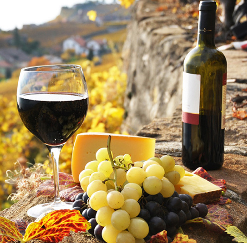 Arte-vino-Italia